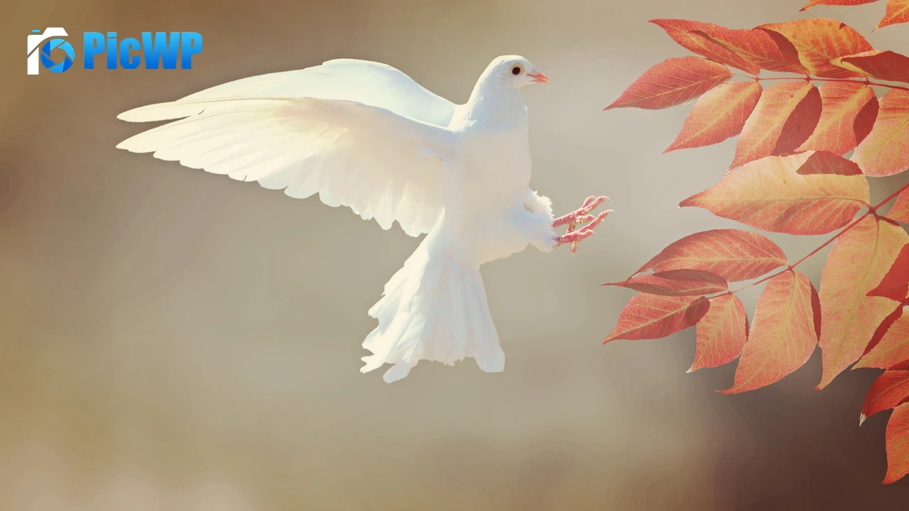 White Dove Orange leaves 4K PC Wallpaper