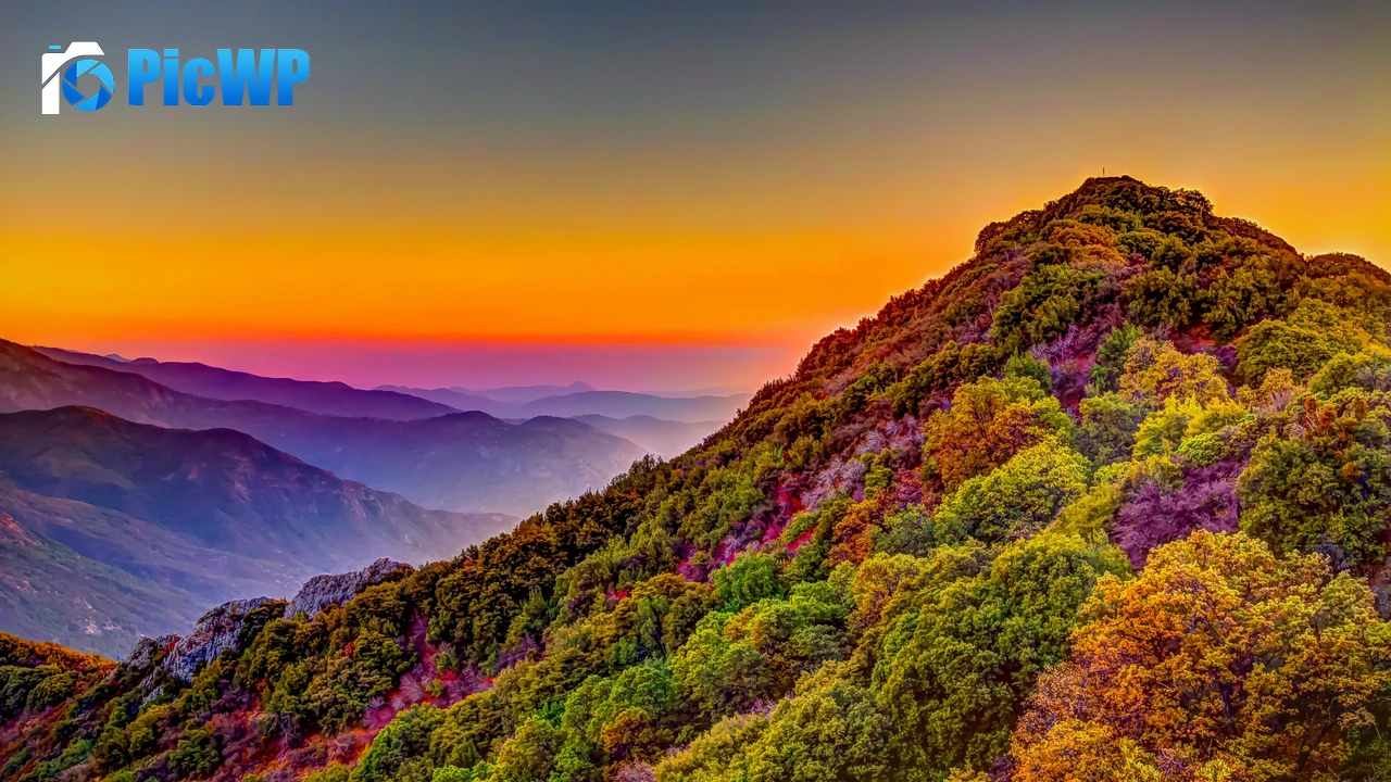 Sequoia National Park California 4K PC Wallpaper