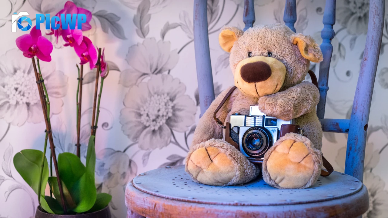 Teddy bear Vintage Camera 4K PC Wallpaper