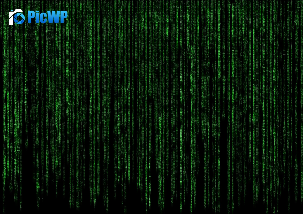 Matrix Program 4K PC Wallpaper