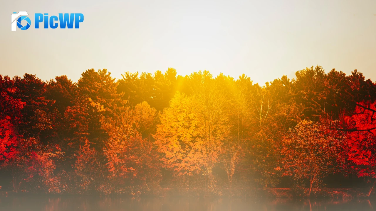 Autumn trees Body of Water 4K PC Wallpaper