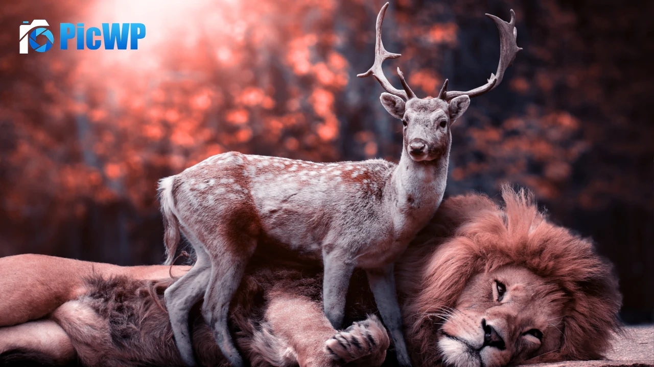 Lion Deer 4K PC Wallpaper