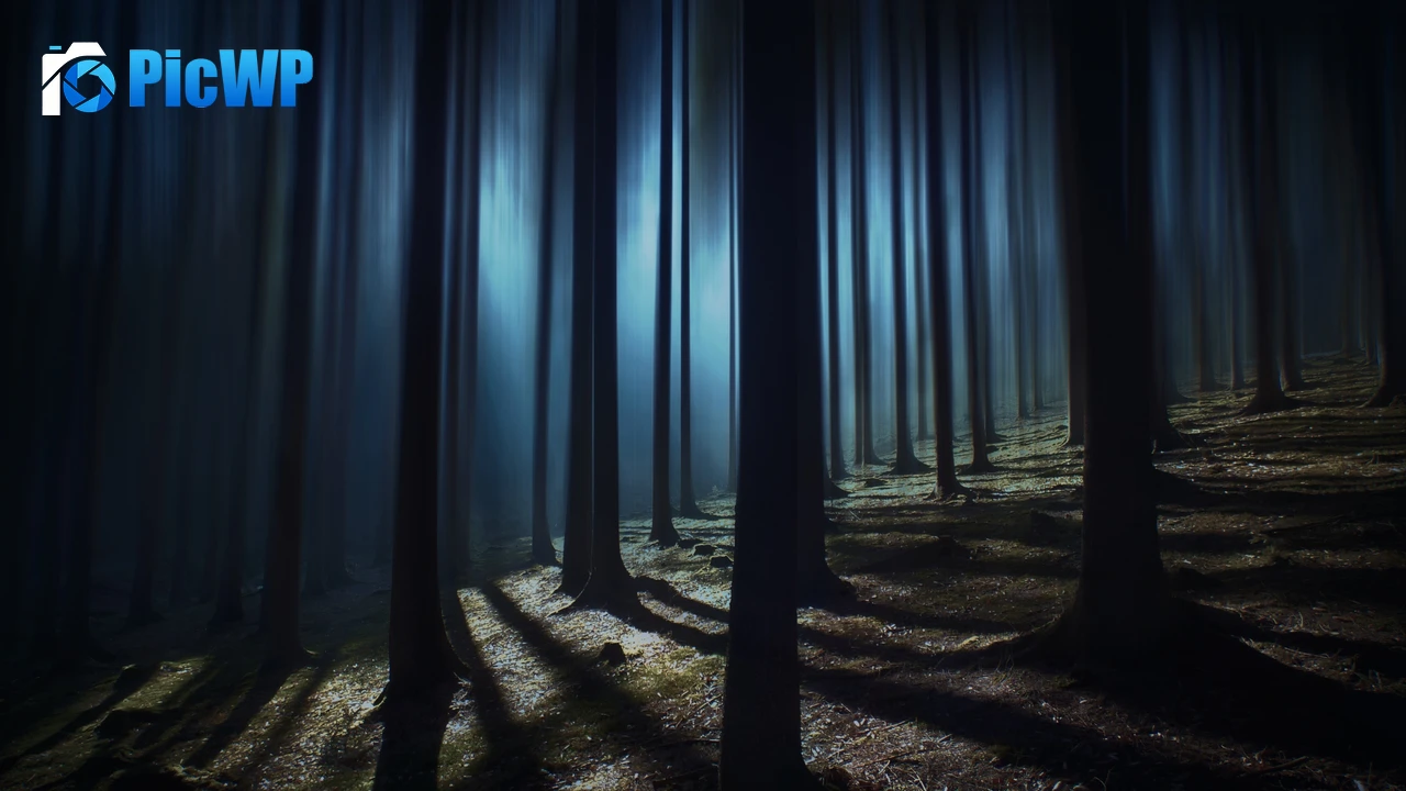 Dark Forest Woods 4K PC Wallpaper