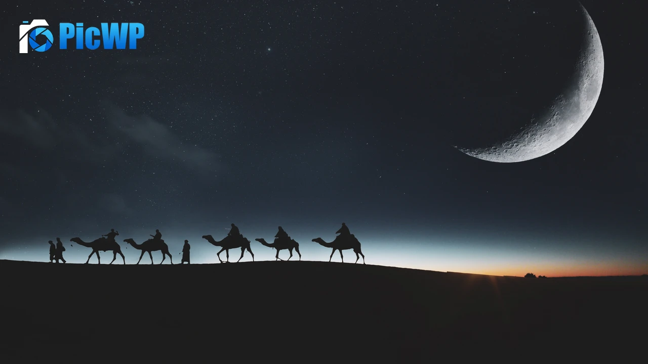 Camels Silhouette 4K PC Wallpaper