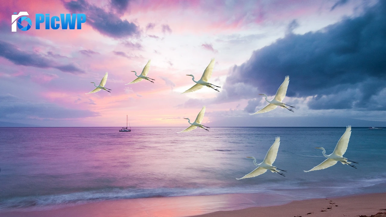 Egrets White Birds 4K PC Wallpaper