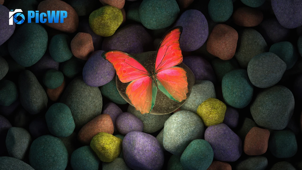 Butterfly Stones 4K PC Wallpaper