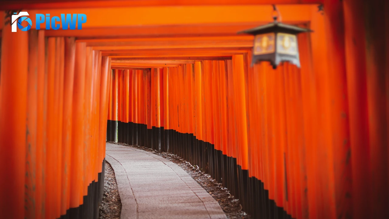 Shinto Shrine Tokyo 4K PC Wallpaper