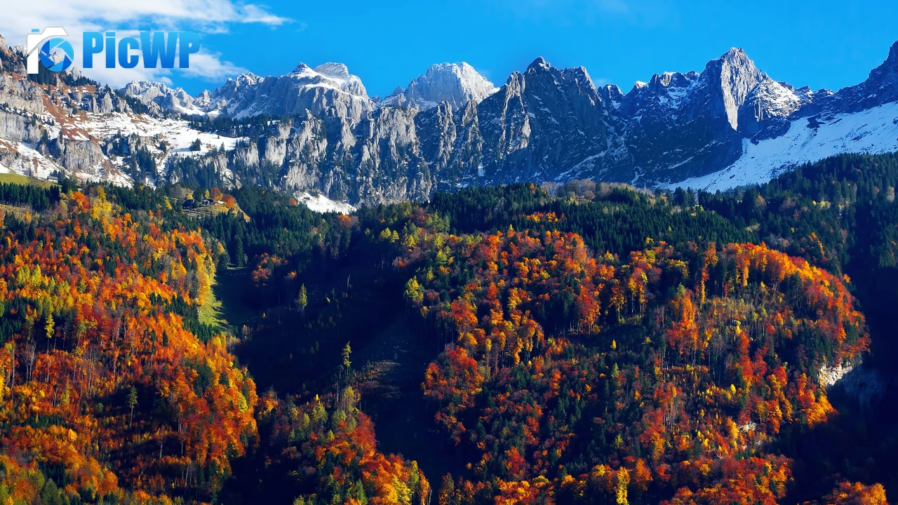 Autumn trees Snow mountains 4K PC Wallpaper