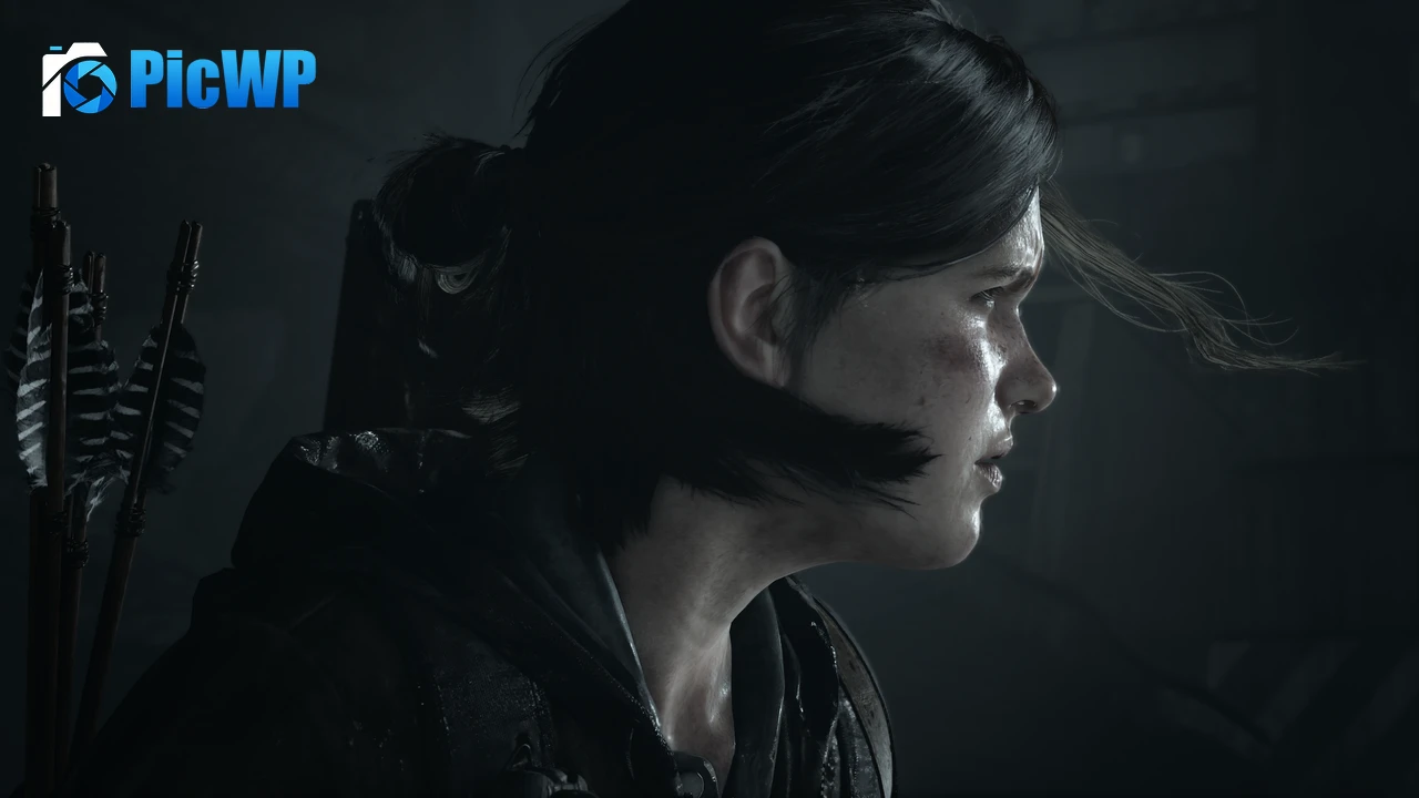 Ellie Williams PlayStation 4 4K PC Wallpaper