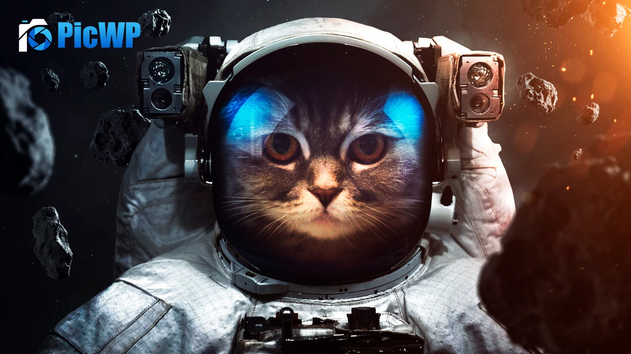 Space suit Cat 4K PC Wallpaper