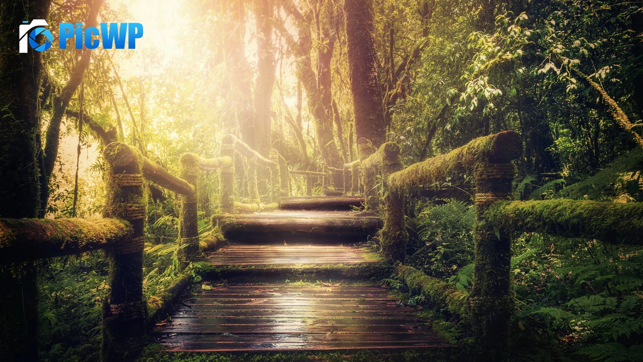 Wooden stairs Forest 4K PC Wallpaper