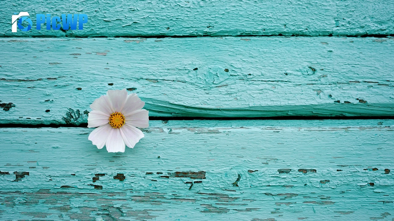 White flower Wooden background 4K PC Wallpaper