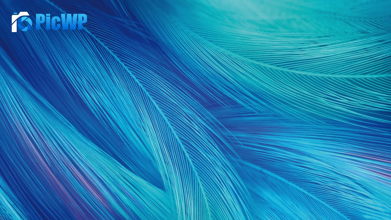 Feathers CGI 4K PC Wallpaper