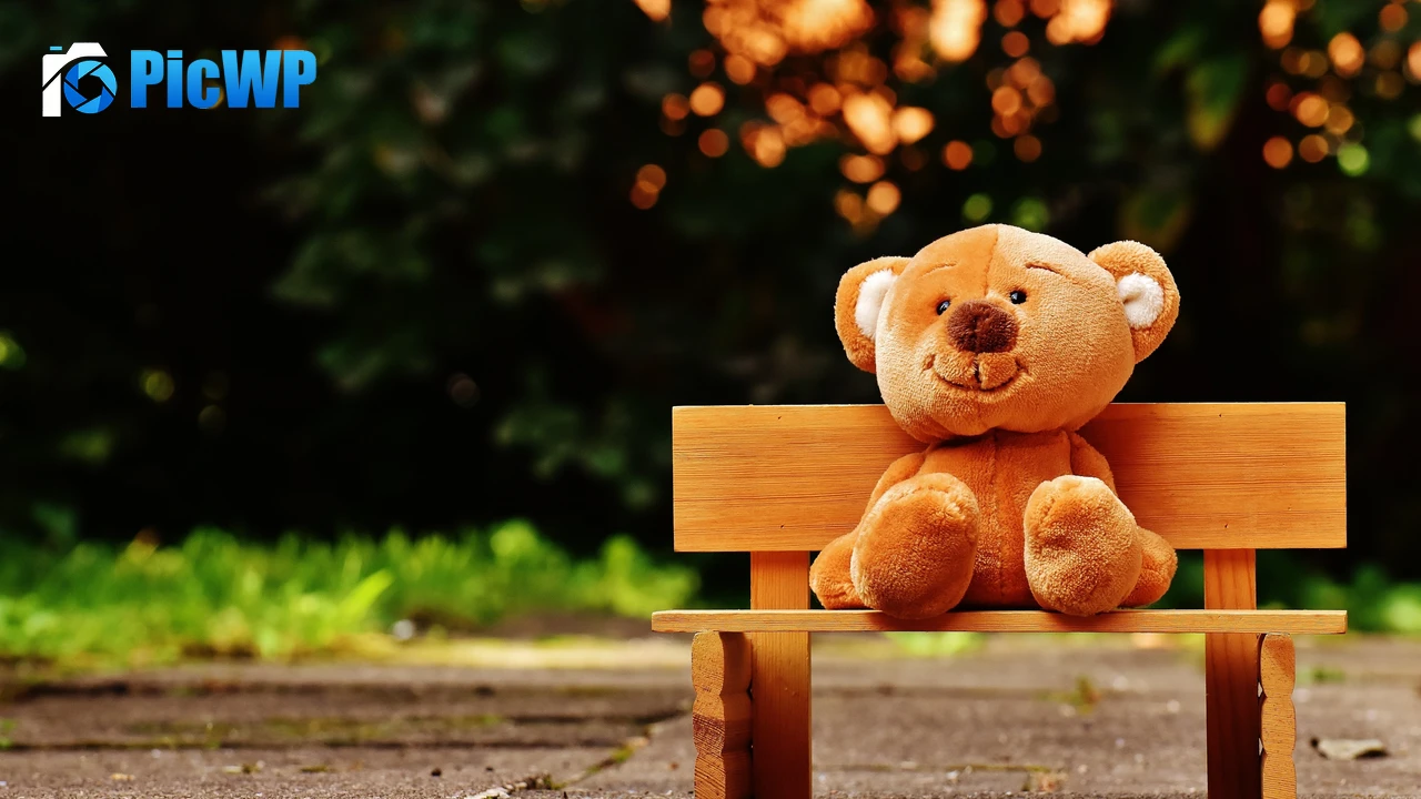 Teddy bear Park bench 4K PC Wallpaper