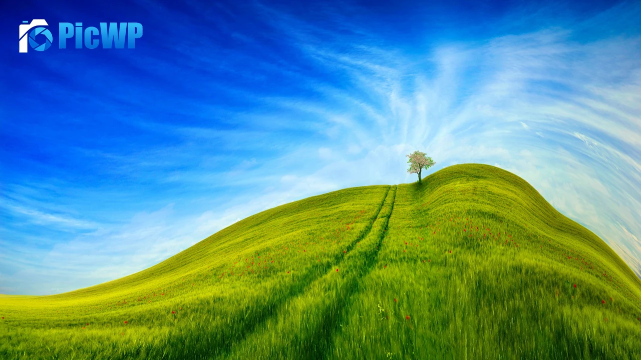 Grass Landscape Blue Sky 4K PC Wallpaper