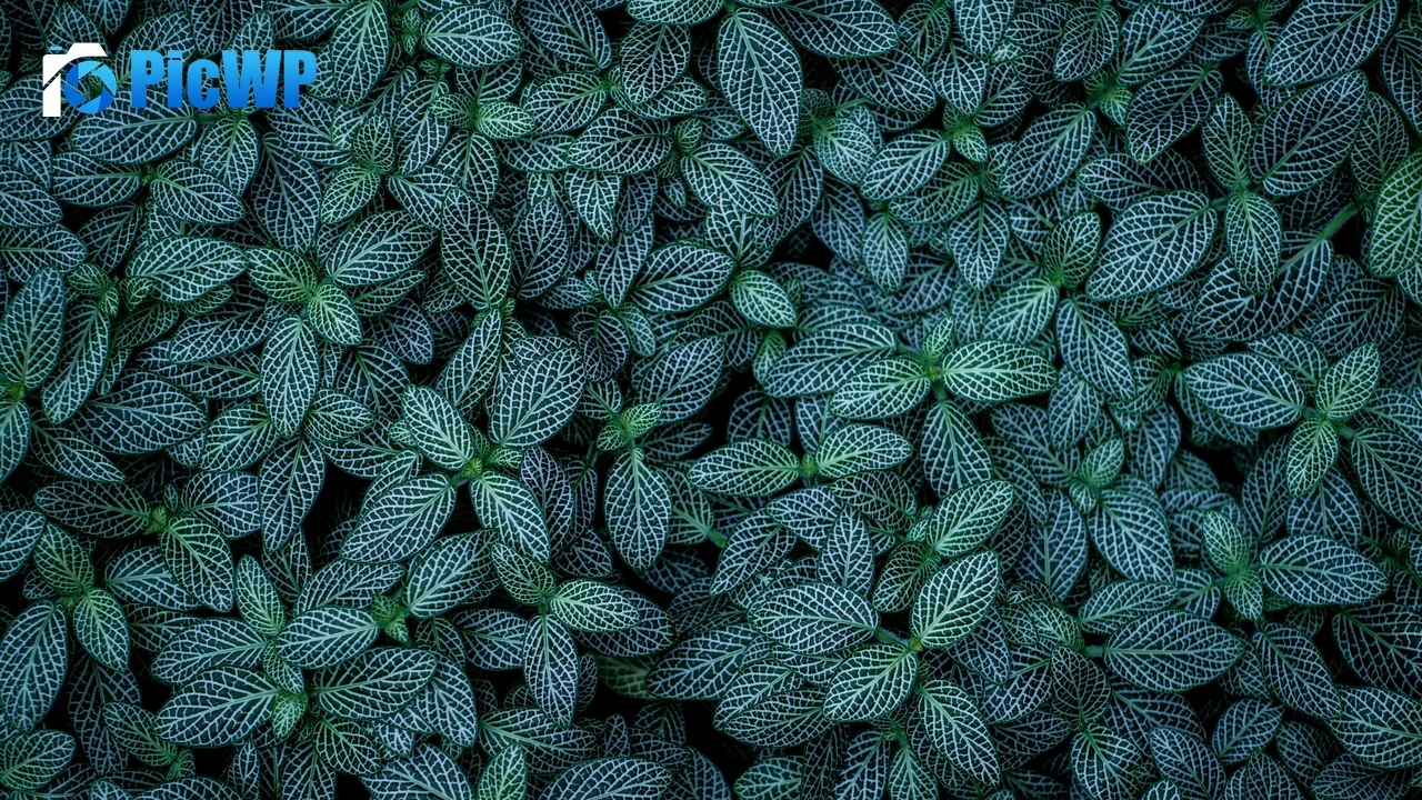 Green leaves Plants 4K PC Wallpaper