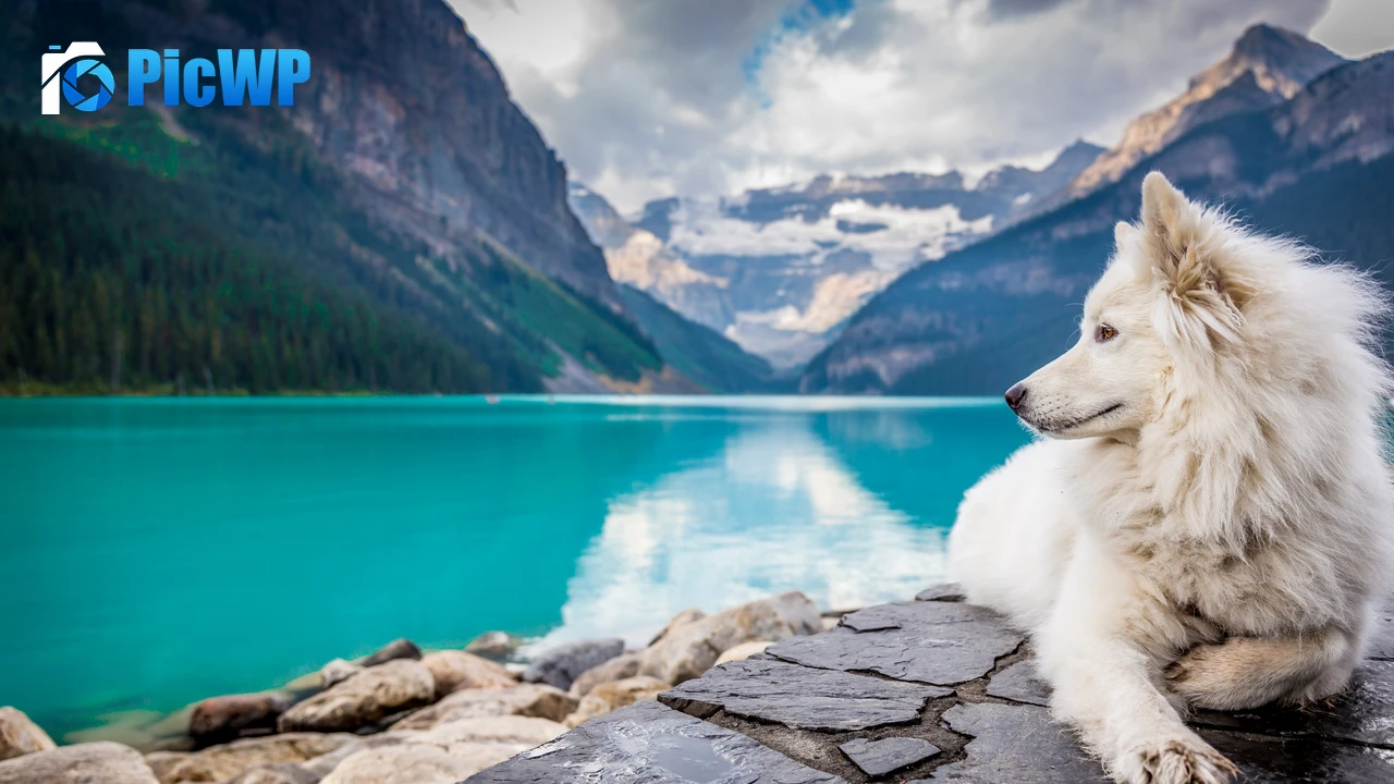 White Dog Mountains 4K PC Wallpaper