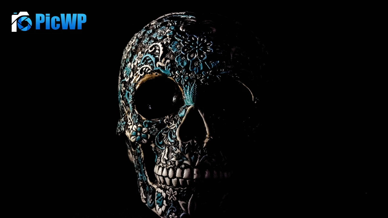 Skull Human 4K PC Wallpaper