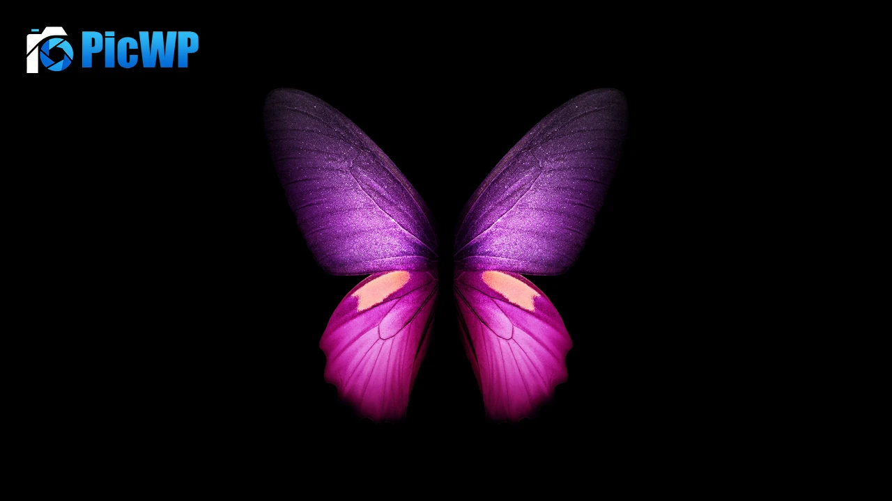 Purple Butterfly Wings 4K PC Wallpaper