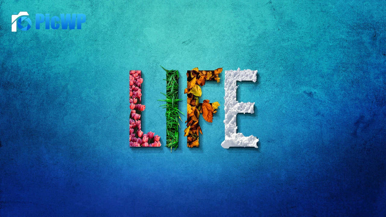 Life Seasons 4K PC Wallpaper