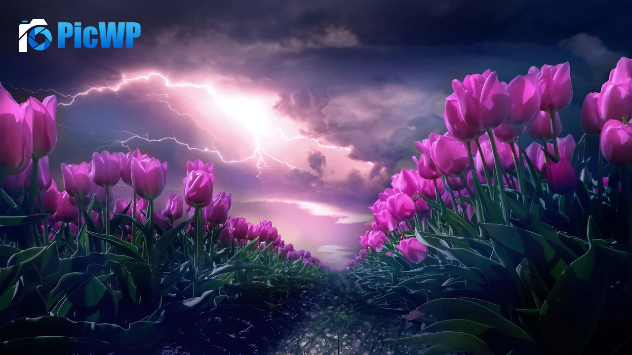 Pink flowers Path 4K PC Wallpaper