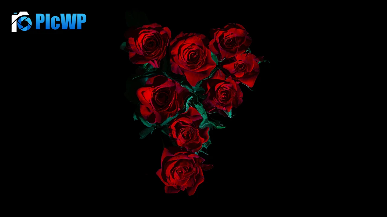 Red Roses Flower bouquet 4K PC Wallpaper