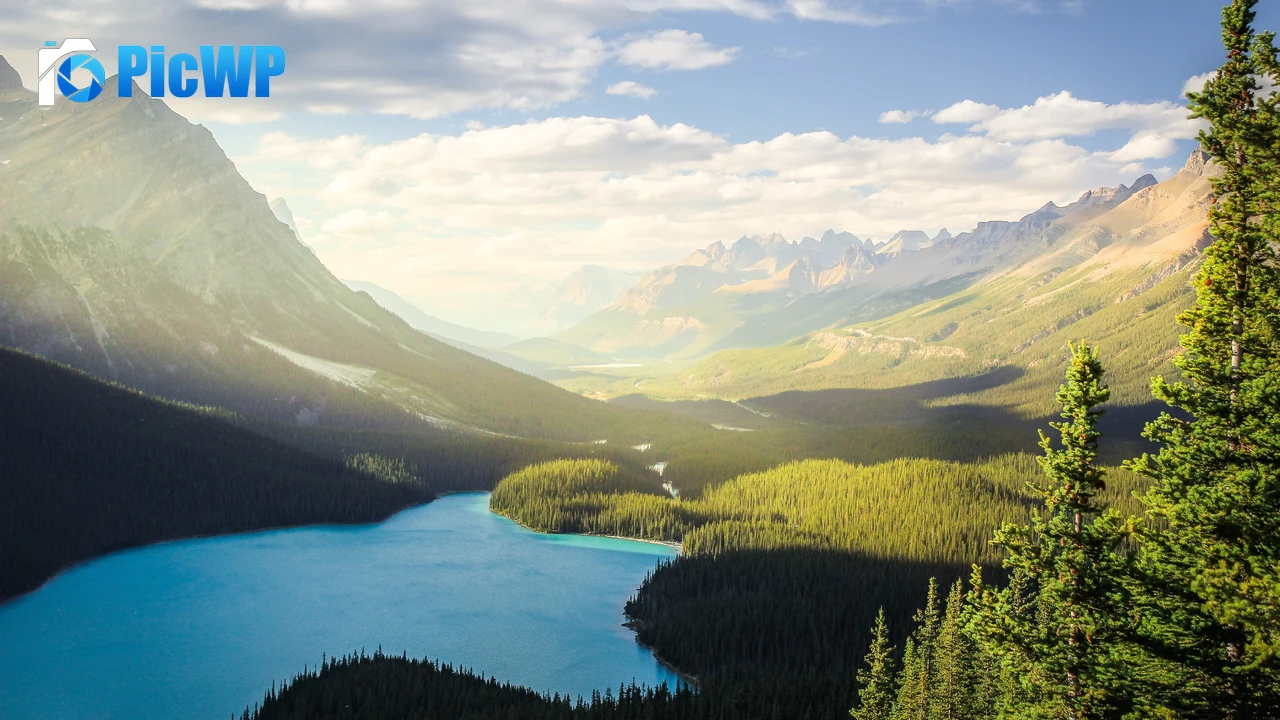 Banff National Park Peyto Lake 4K PC Wallpaper
