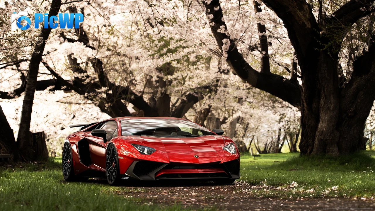 Lamborghini Aventador SV Cherry trees 4K PC Wallpaper