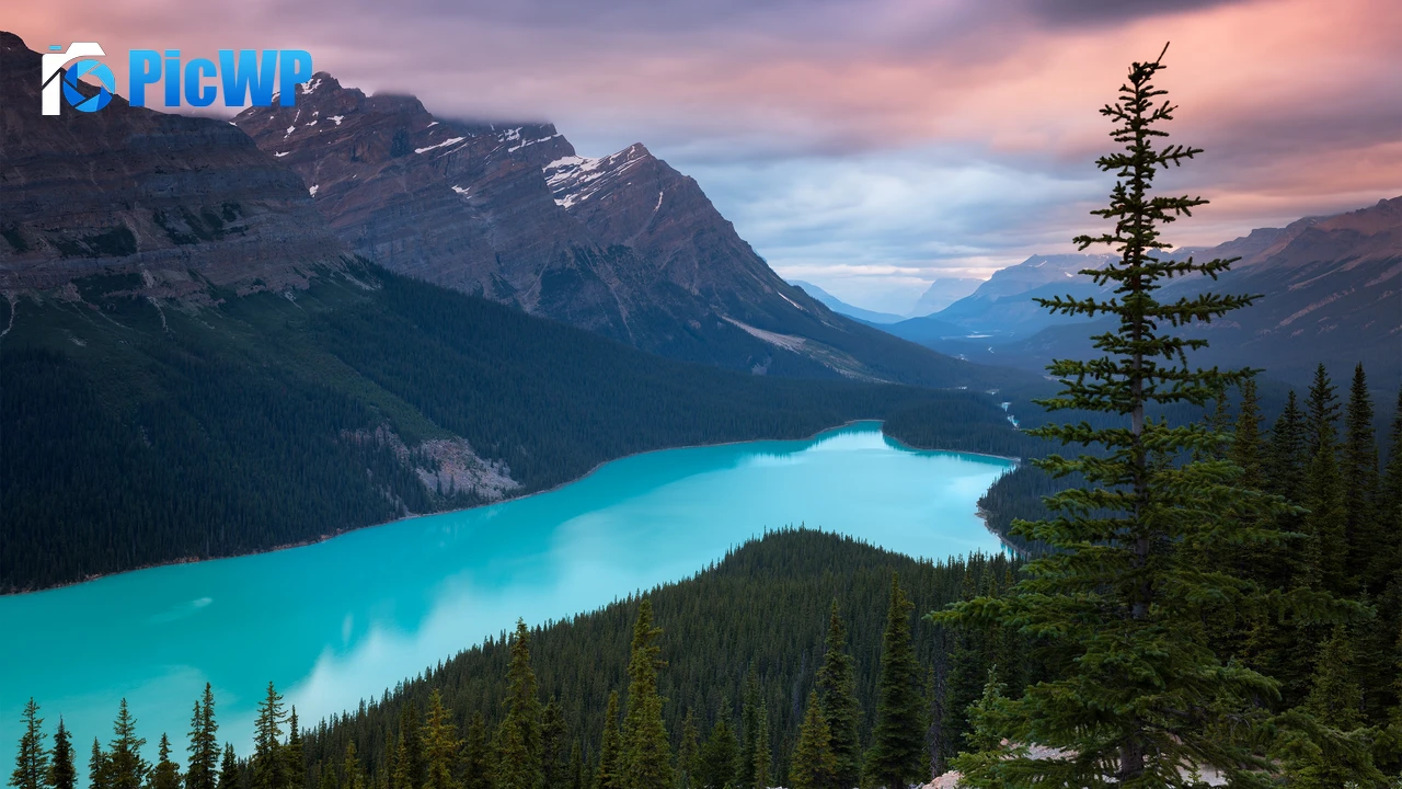 Peyto Lake Mountains 4K PC Wallpaper
