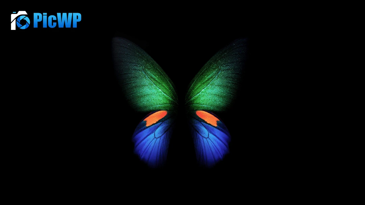 Butterfly Samsung Galaxy Fold 4K PC Wallpaper