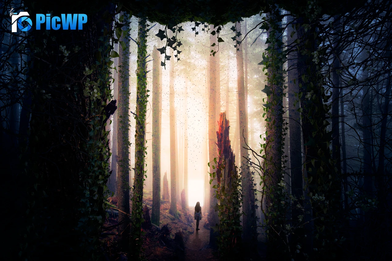 Girl Alone 3K PC Wallpaper