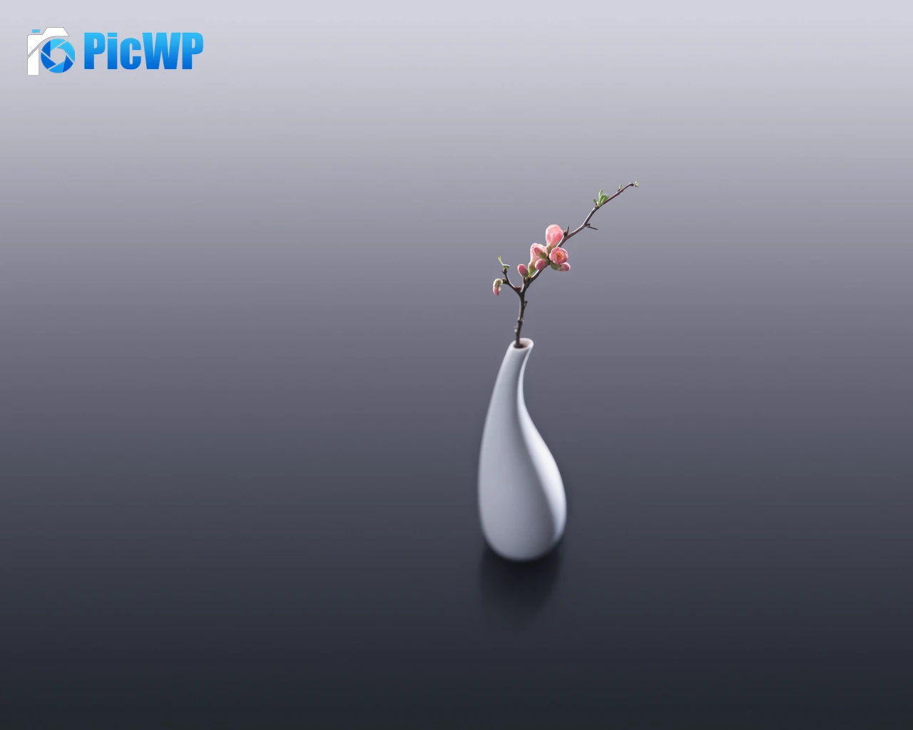 Flower vase Flower bouquet 4K PC Wallpaper