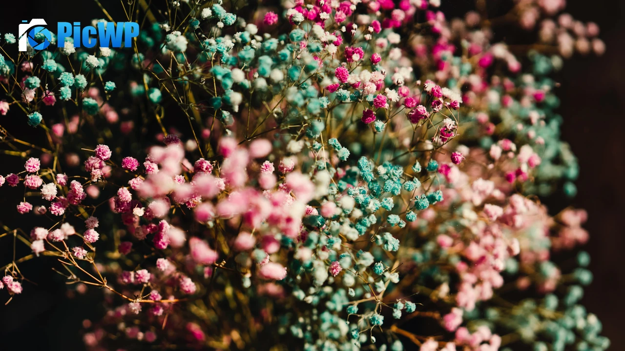 Colorful flowers Flower bouquet 4K PC Wallpaper