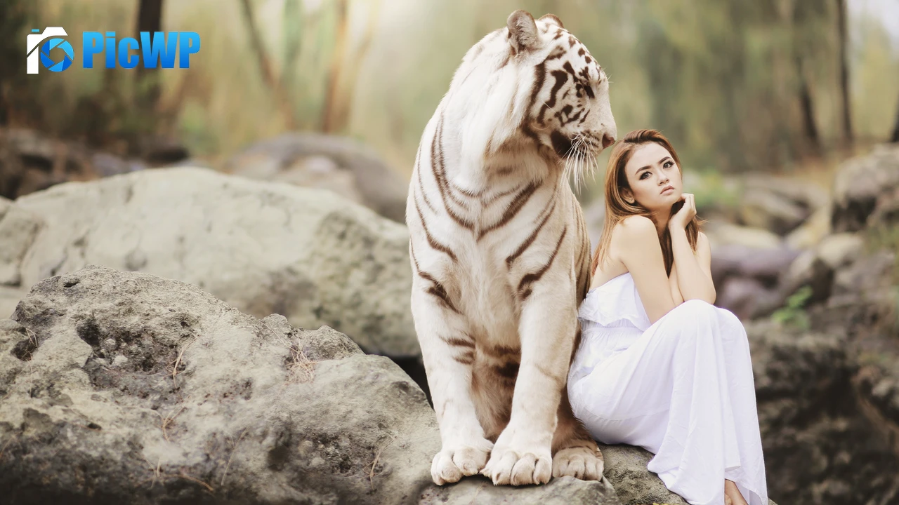 White tiger Asian Woman 4K PC Wallpaper