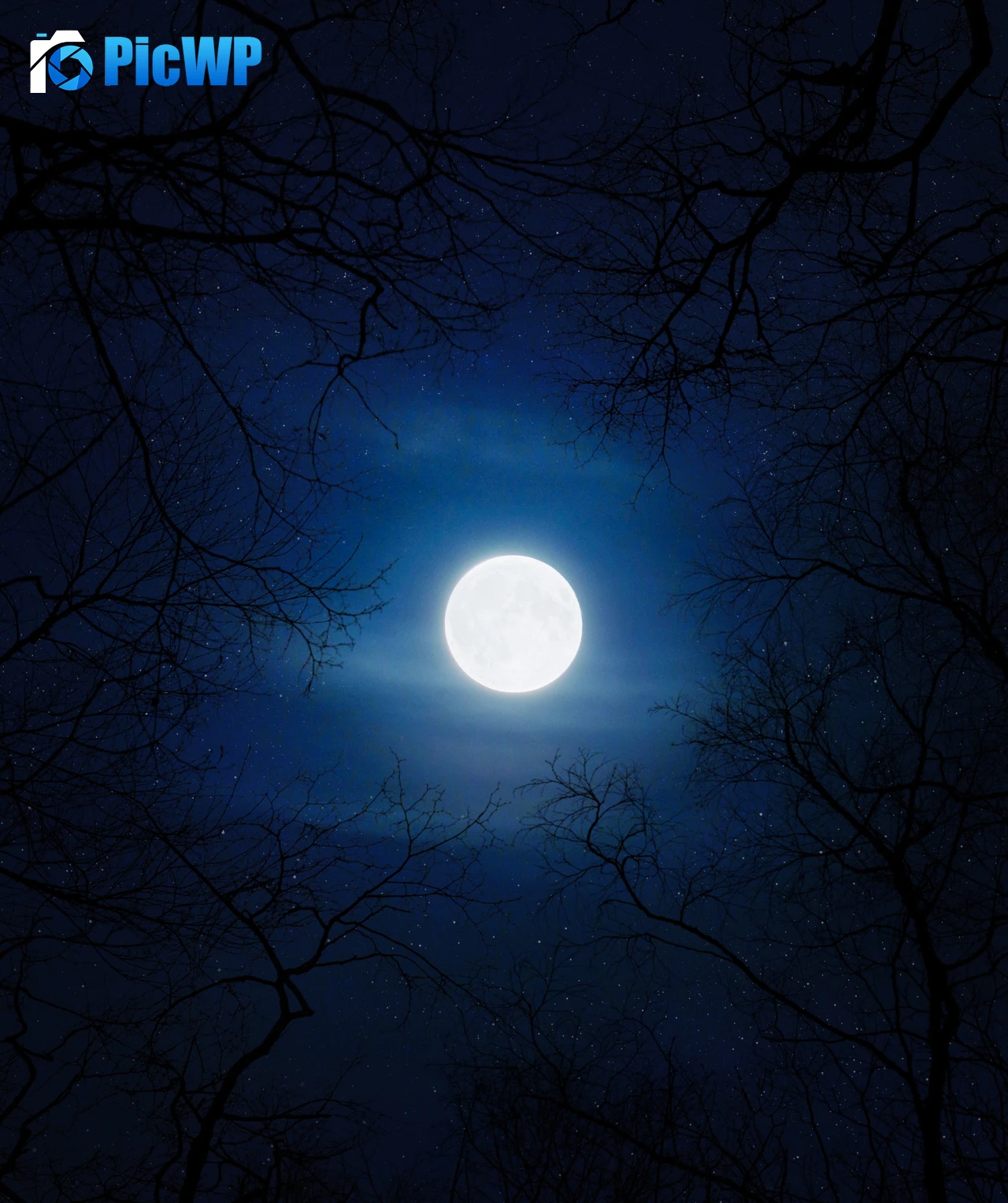 Cold Moon 4K Mobile Wallpaper