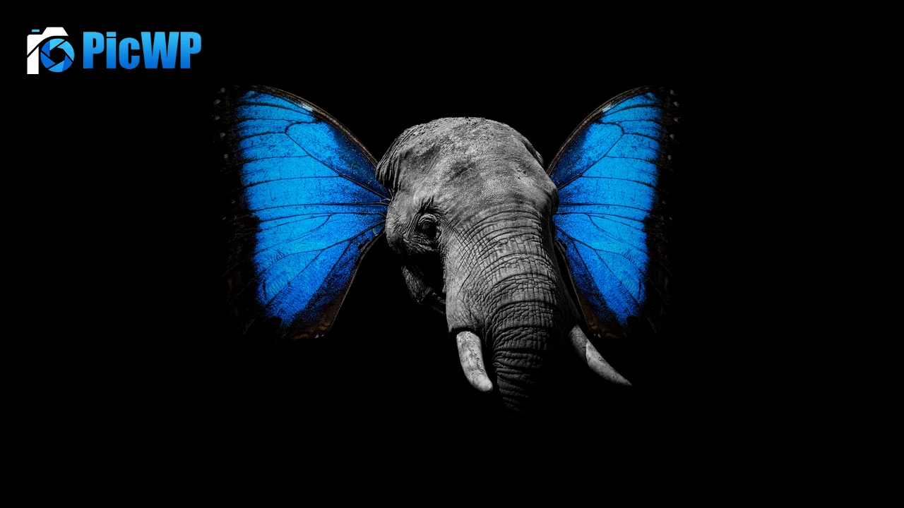 Elephant Butterfly 4K PC Wallpaper