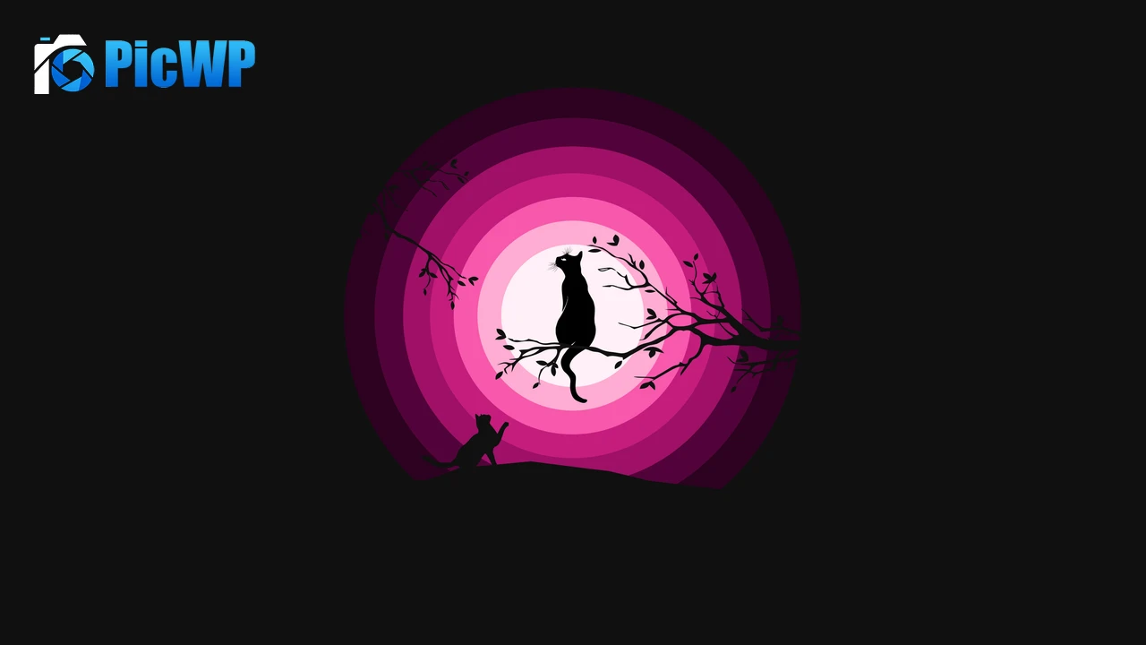 Cats Moon 4K PC Wallpaper
