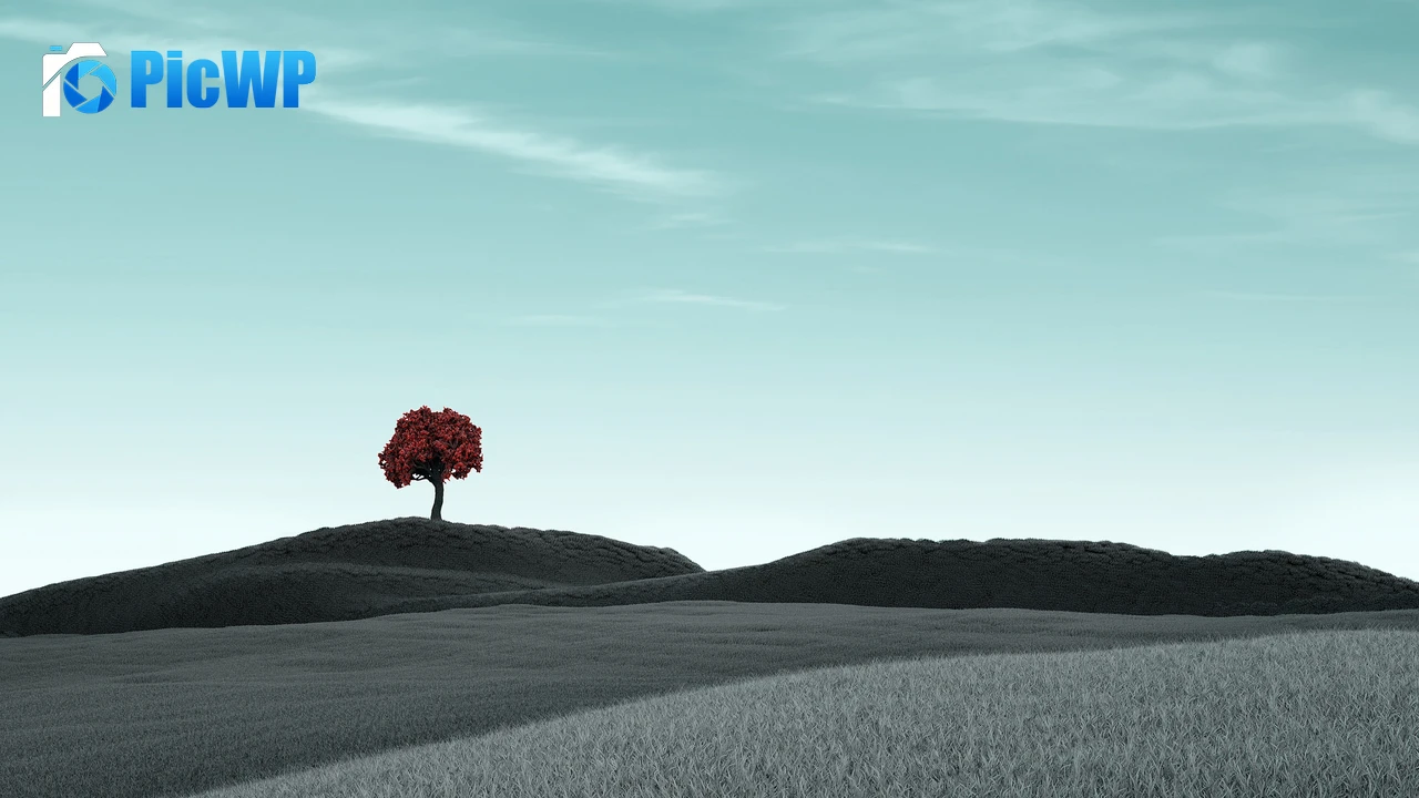 Lone tree Clear sky 4K PC Wallpaper