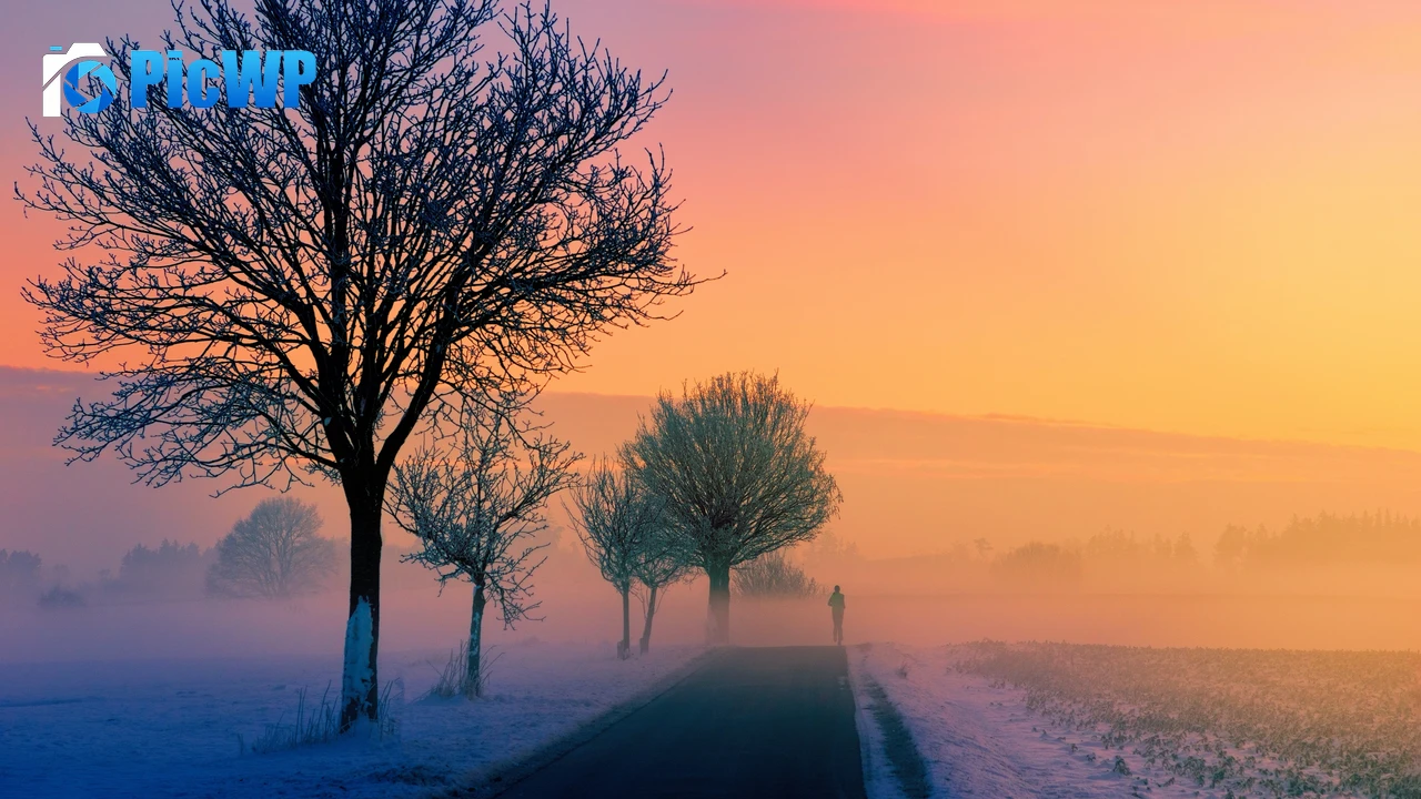 Golden hour Foggy 4K PC Wallpaper