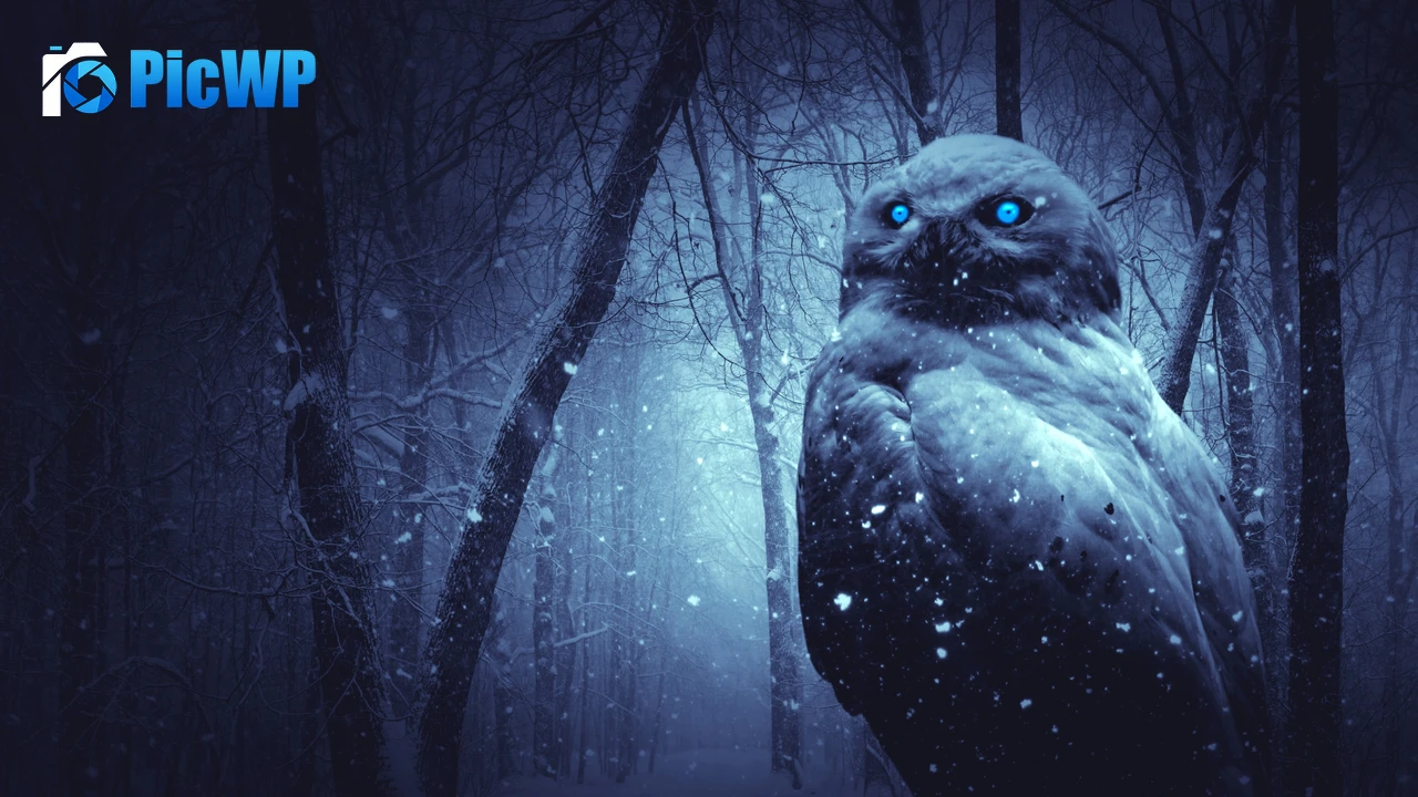 Owl Forest 4K PC Wallpaper