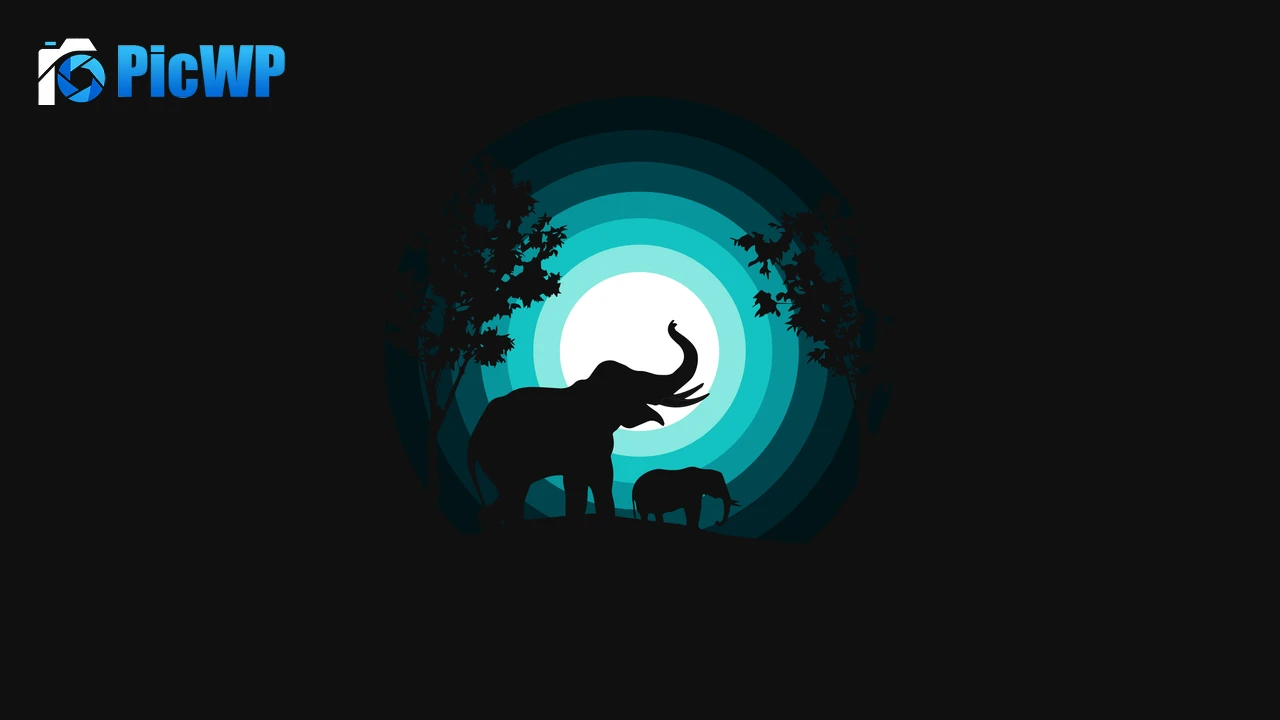 Elephant Elephant cub 4K PC Wallpaper