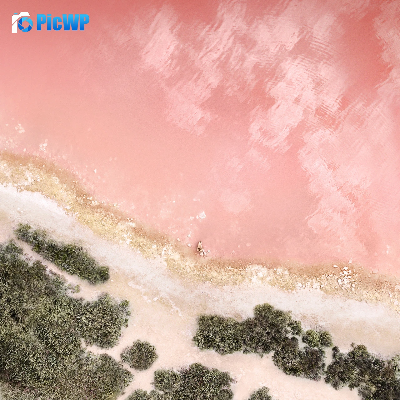 Beach Baby pink 4K Fold Wallpaper