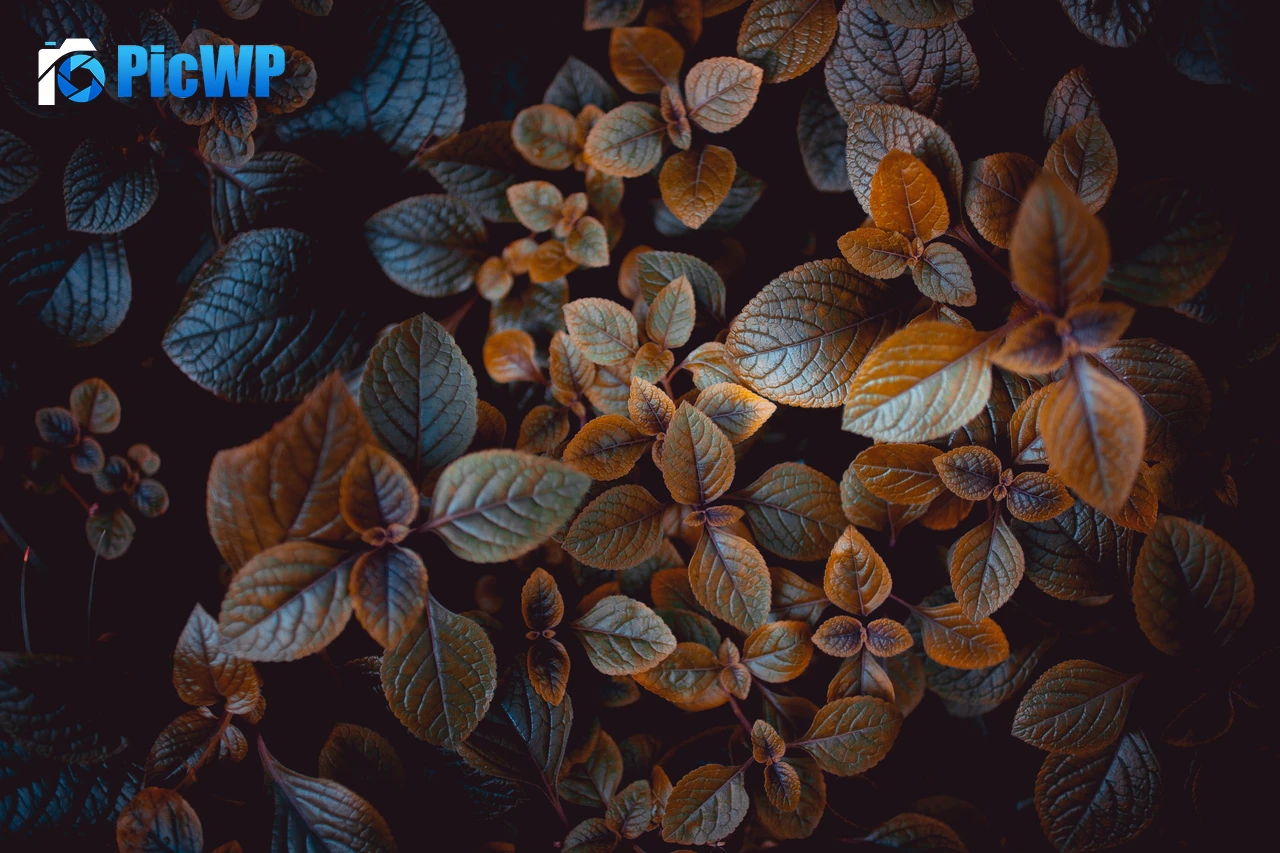 Leaves Brown aesthetic 4K PC Wallpaper