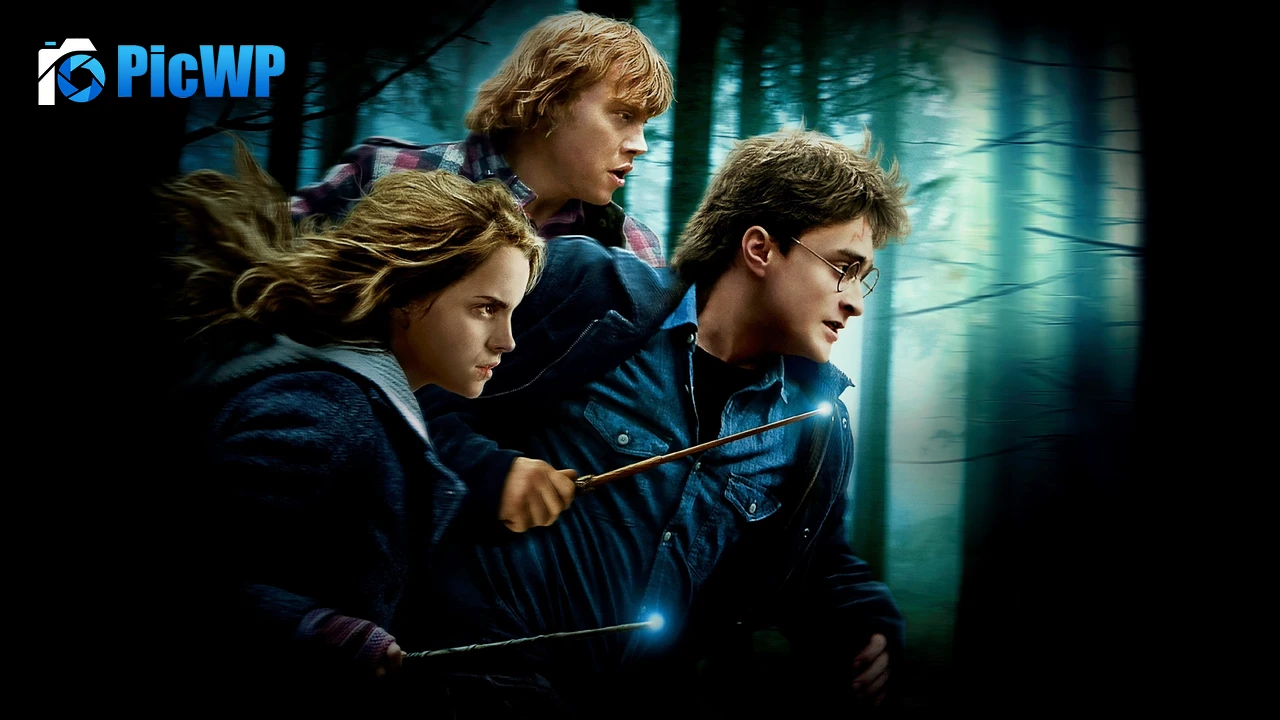 Harry Potter and the Deathly Hallows Part 1 4K PC Wallpaper