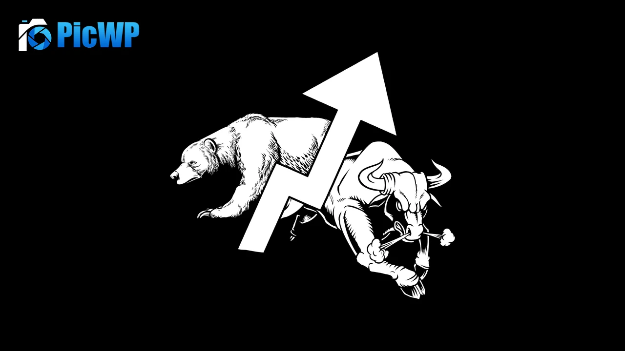 Bear Bull 4K PC Wallpaper