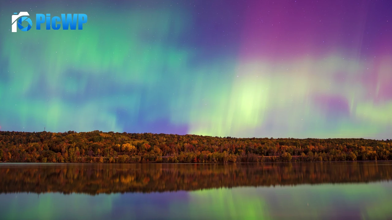 Aurora sky Forest 4K PC Wallpaper