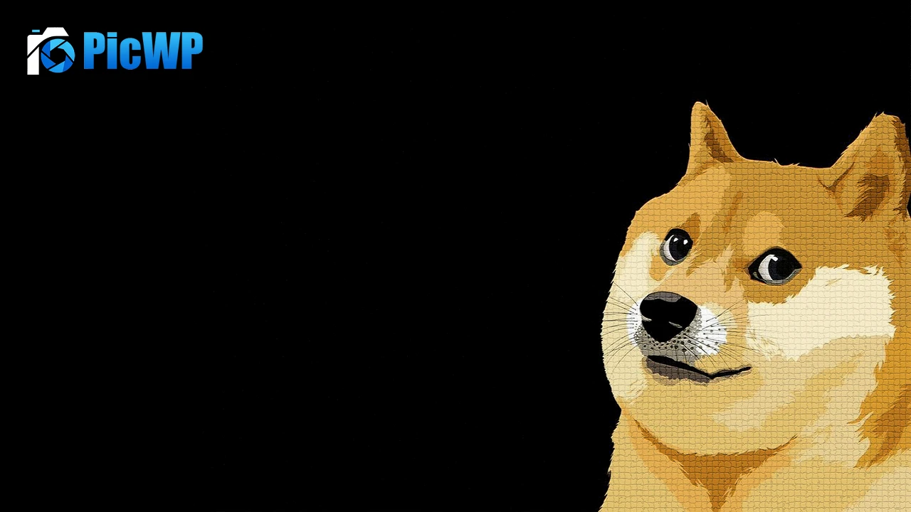 Shiba Inu Dog 6K PC Wallpaper