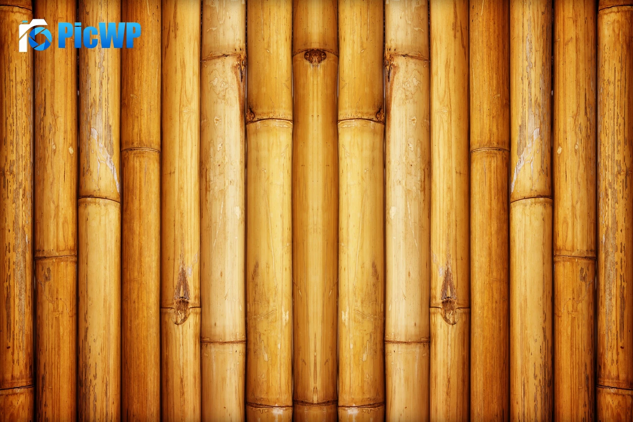 Bamboo Wall 6K PC Wallpaper
