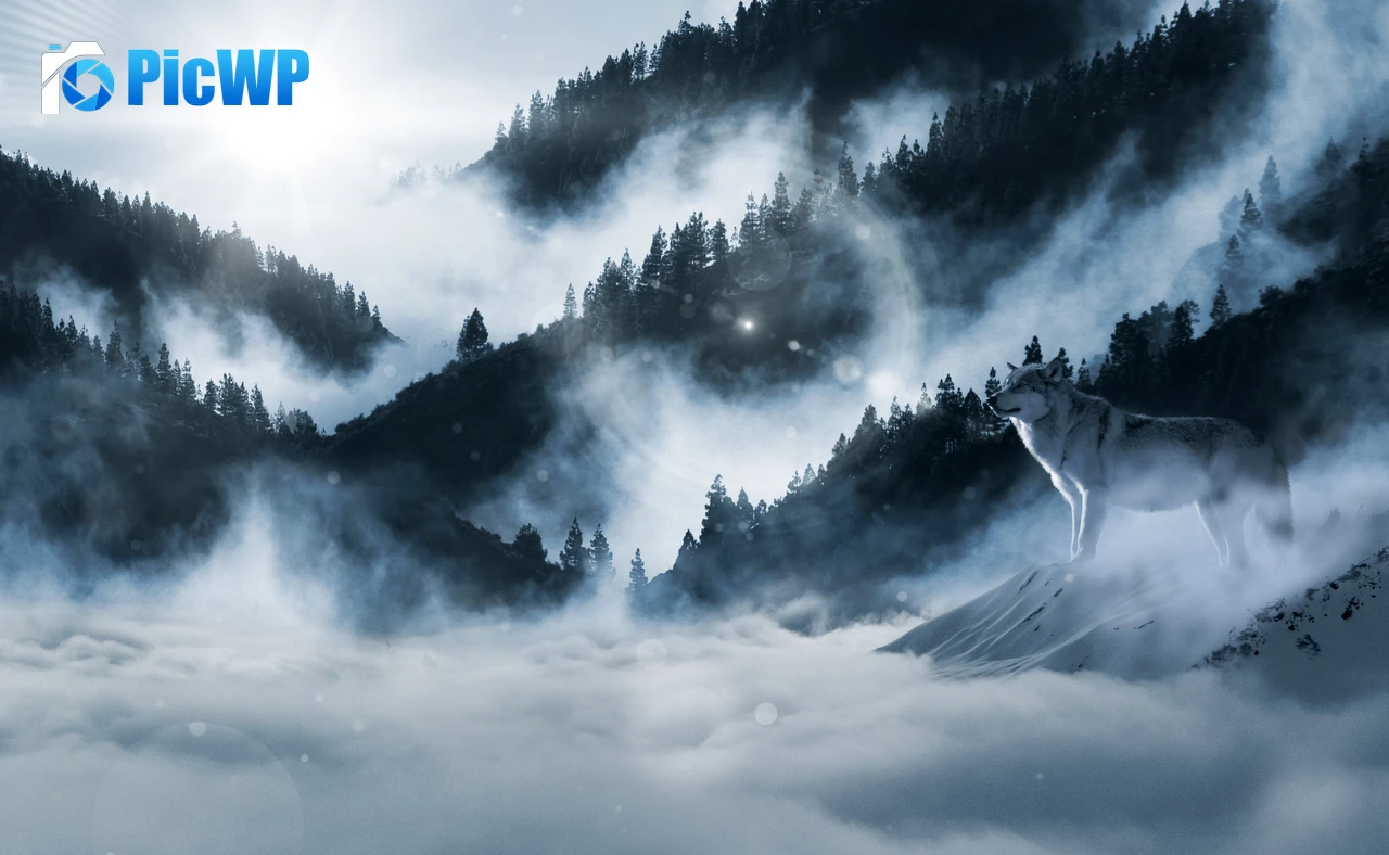 Arctic wolf Winter 6K PC Wallpaper