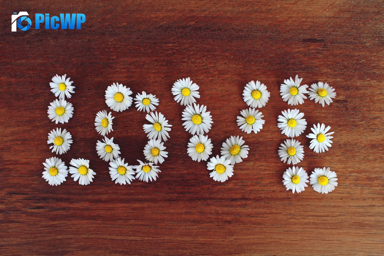 Love word Daisy flowers 4K PC Wallpaper